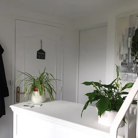 D'hote Table D'hote B&B